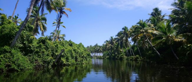 Kerala Long Weekend Tour