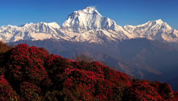 Nepal Ghorepani Poonhill Trek