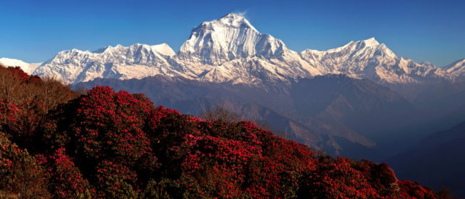 Nepal Ghorepani Poonhill Trek