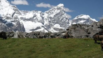 Bhutan Drukpath Trek (10 N/ 11 D)