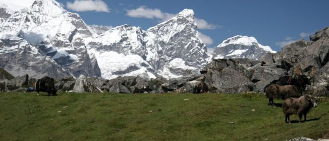 Bhutan Drukpath Trek (10 N/ 11 D)