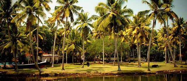 God’s Own Country- Kerala